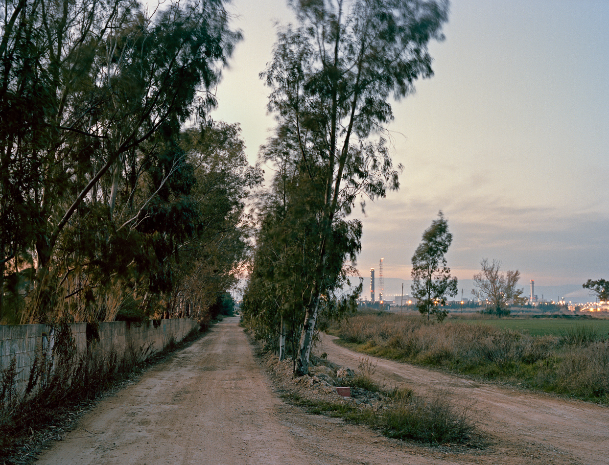 Bonavista David Mocha